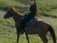 Ձի, Kazakh horse — լուսանկար 2