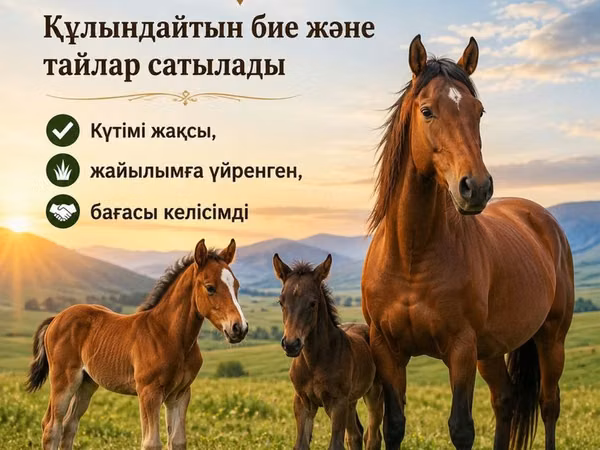 Mare, Horses — Kazakhstan