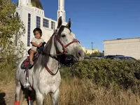Horse (M), Horses — photo 3
