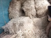 Boma Rhodes Grass Variety Square Bale of Dried Grass Hay — foto 5