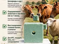 ЛИМИСОЛ-Ф ПРЕМИУМ — соль-лизунец против паразитов Назначение: - — 写真 1