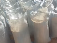 Yellow Maize for Sell — fotografija 3