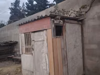 Taxta quşxanası / göyərçin yuvası - Material: taxta karkas, şifer dam — 照片 3