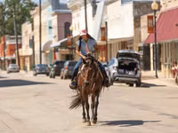 雌馬, Quarter Horse — 写真 2