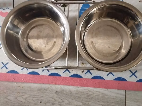 İki bölməli paslanmayan poladdan ev heyvanı qabları dəsti - Material