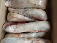Продаю язык говяжий — 照片 1