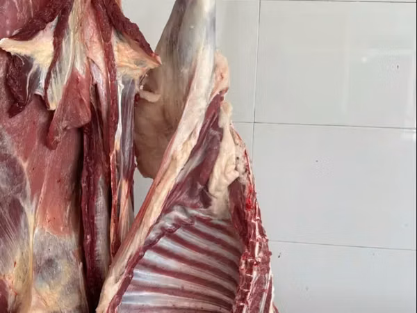 Կաթի գառ, գառի միս, մատաղի