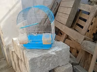 Dekorativ quşlar üçün qəfəs. Mavi-altlıqlı və ağ metal tor — foto 3
