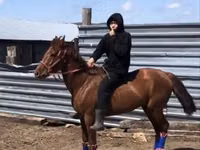 ፈረስ, Horses — ፎቶ 2