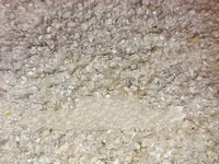 Broken Maize for Chicks and Chicken (High Quality) - 50kg — foto 2