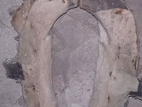At arabası/yük arabası üçün köhnə tip qoşqu boyunduruğu (xomut) - — foto 1