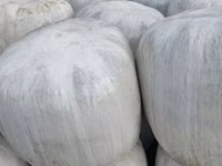 Corn Silage — фото 1