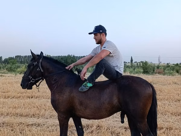 Horse (M), Horses — Uzbekistan