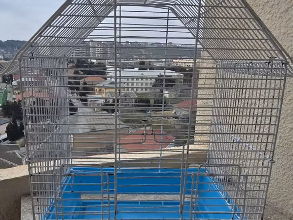 Quş qəfəsi – metal karkaslı, mavi plastik altlıqla - Material: möhkəm