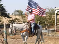 Horse (M), Quarter Horse — photo 7