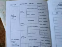 ሴት ፈረስ, Orlov Trotter — ፎቶ 2