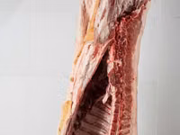 Vand carcasa de porc 75 lei kg — फ़ोटो 1