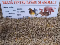 Nutrețuri granulate pentru:păsari și animale.posibel livrare. — ፎቶ 4
