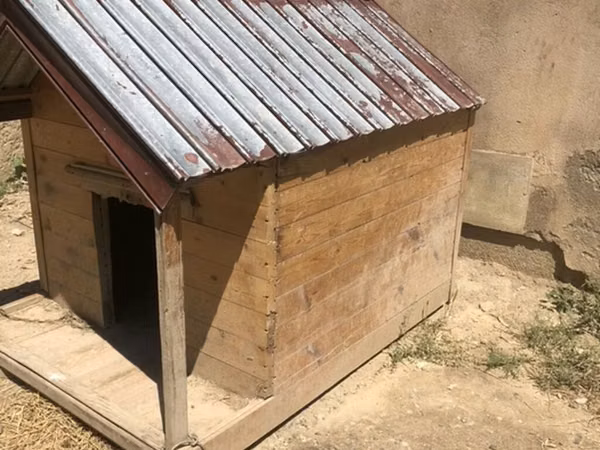 Taxta it evi - Material: qalın taxta lövhələrdən yığılmış korpus