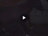 Бээ, Аттар — сүрөт 1