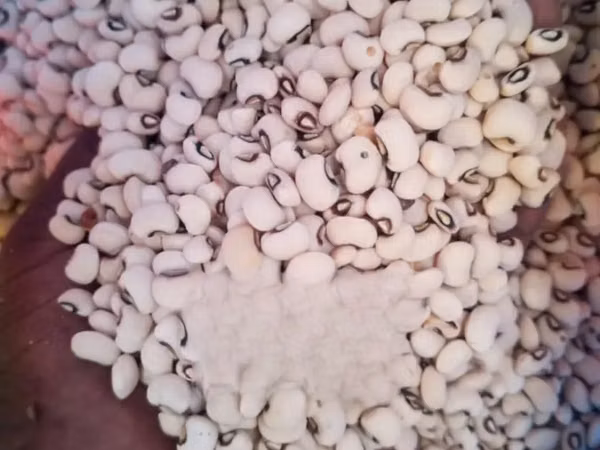 Ghanaian Local Beans
