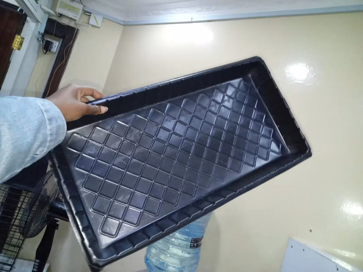 Hydroponic Trays for Organized Harvest - No Holes