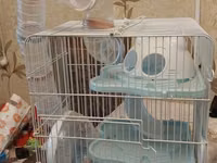 Hamster üçün iki qəfəs dəsti - Böyük modul qəfəs: çoxmərtəbəli — foto 2