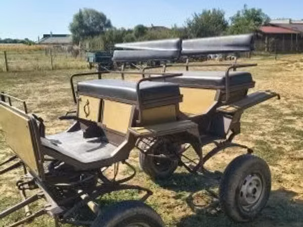 Eladó nagy ló, csikó jártató, csere..