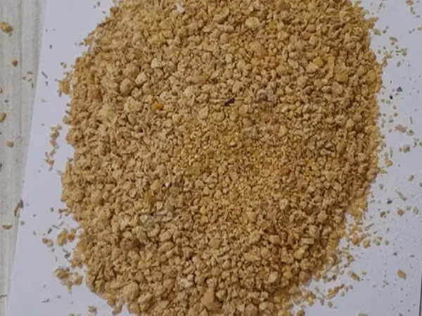 Соевый жмых, шрот, масло, мука