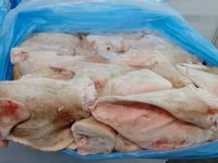 Уши св — புகைப்படம் 2