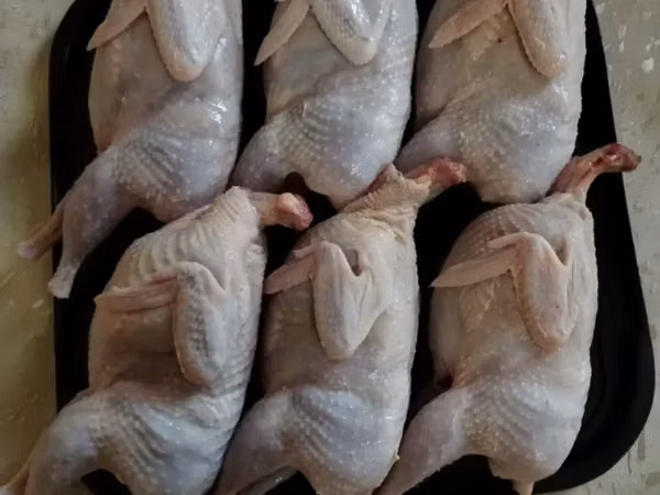 Լոր : Լորի թարմ միս
