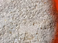 Broken Maize for Chicks and Chicken (High Quality) - 50kg — foto 5