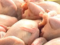 Prepelite: carne, oua, taietei, afumate, marinate, congelate, maioneza, pate, carne inabusita etc.. — फ़ोटो 2