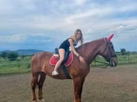 Kuda betina, Horses — foto 1