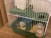 Cırtdan hamster və tam dəst qəfəs Məhsul təsviri: - Növ: cırtdan — fotografija 3