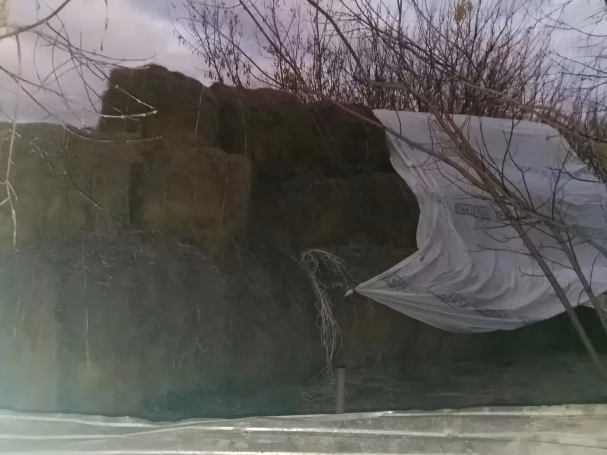 Продам сено в тюках