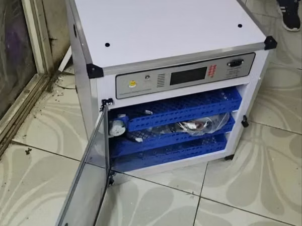 Automatic Egg Incubator/ Electric 204eggs Capacity Ac/Dc Incubator