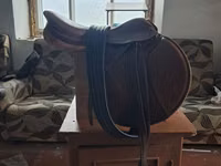 Село продаю скаковое состояние хорошее итальянское покупали новое с — foto 4