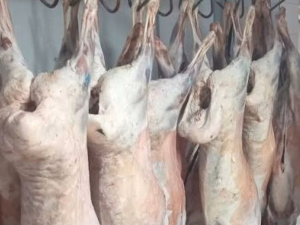 Баранина туши продам