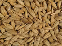 Chiucuri — फ़ोटो 3