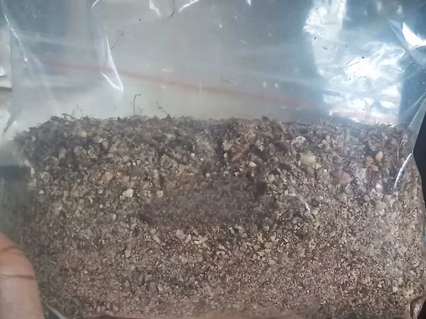 Groundnut Meal