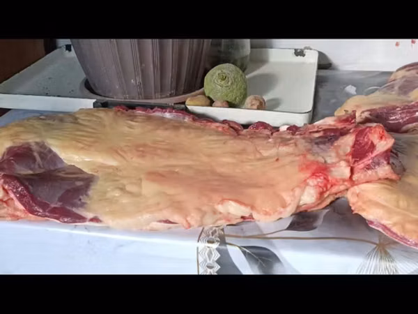 Ат башыдан Семиз байламбастар союлуп Устукандалып Чучугу жазалып