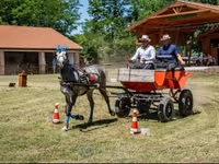 Kůň, Koně — foto 5