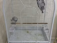 Jako ve boyuk qushlar ucun qefes. Cox az iwlenib. Yeni kimidir. Qiymet — fotografija 2