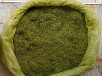 Animal Feed - Moringa Chaff — foto 4
