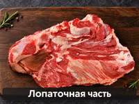 Говядина оптом от 4-5 тонн — 1-сурет