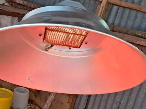 Gas Brooder Heater 2000 Chick