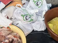 Kambing jantan, Sheep — foto 7