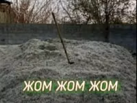 Жом жом жом доставка зил 9 тонн Жом жом жом для КРС жом жом жом — 照片 2