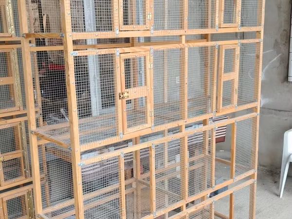 Papuqay qəfəsi quş qəfəsi toyuq cücə üçün qəfəs lər yığıram hər ölçüdə